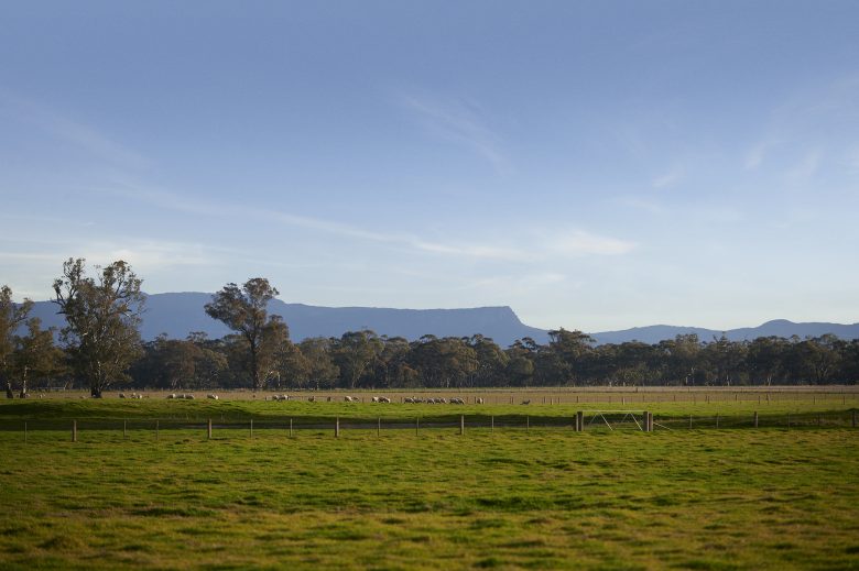 Neighbouring landholders